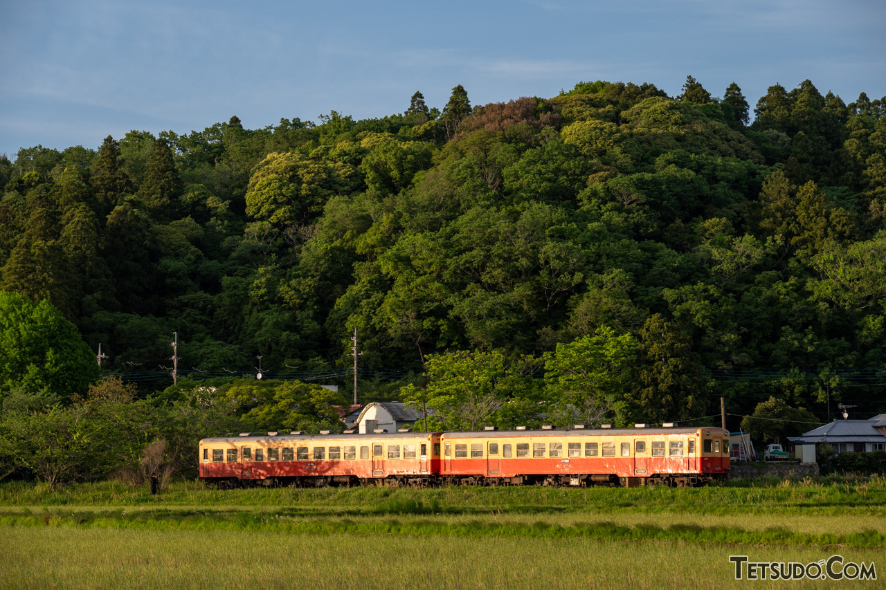 房総半島を走る小湊鉄道