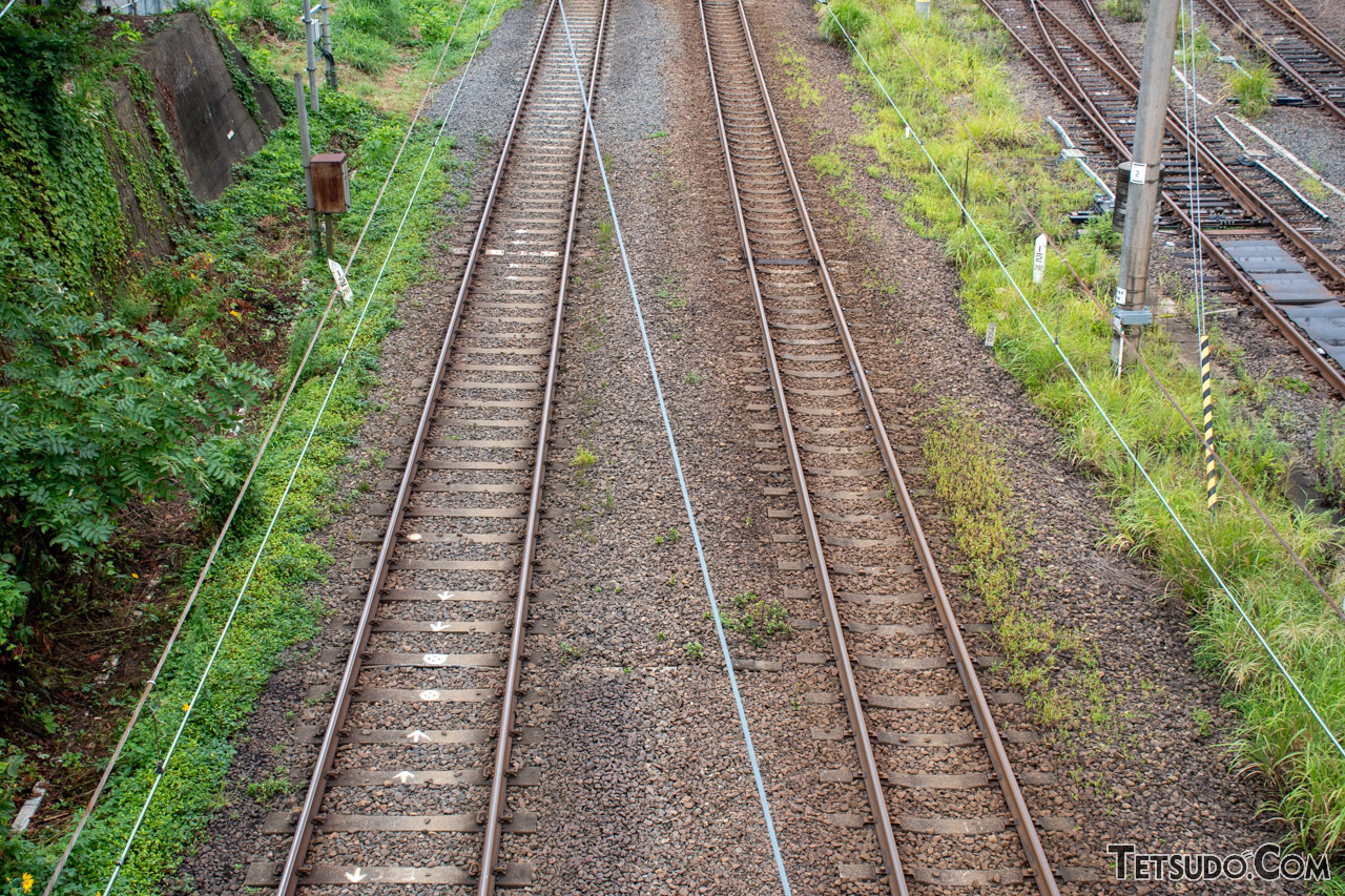 風光明媚な区間を走る臨時列車は鉄道ファン的にもレア!? 「珍しい機会 