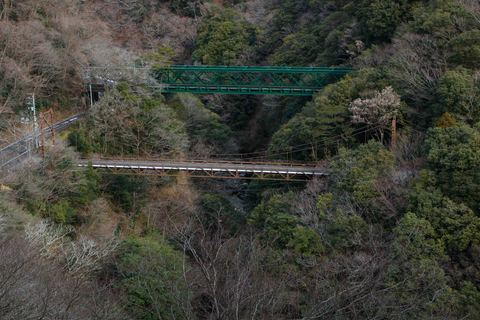 中古品の登録有形文化財　箱根路を支える日本最古の鉄橋