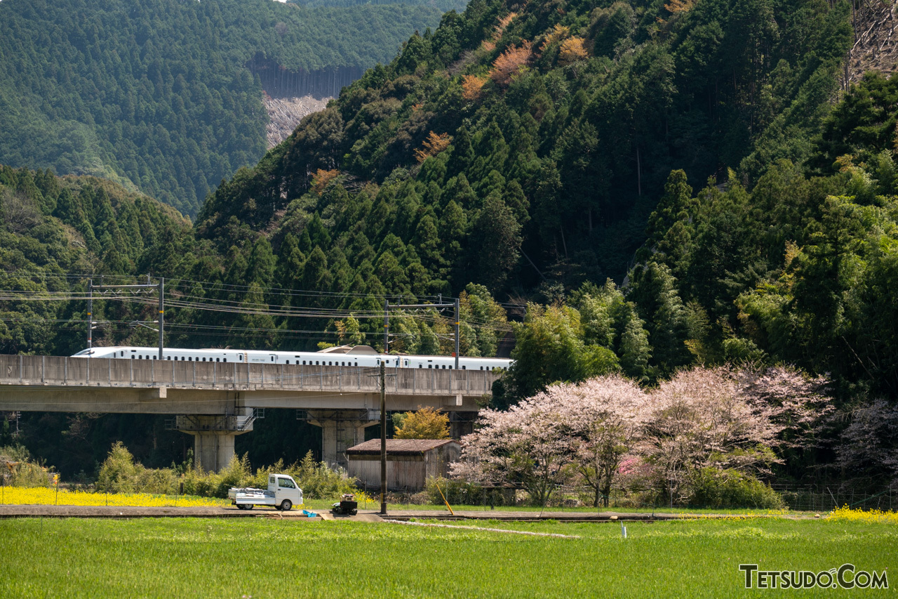 桜が咲く地を駆ける九州新幹線
