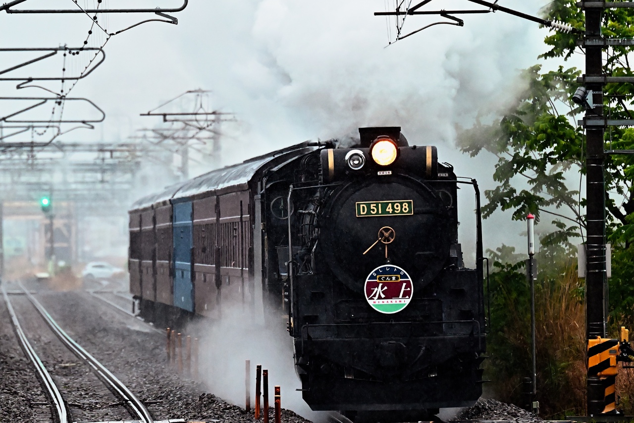 D51-498 緑色ナンバープレート 掲出」の投稿写真（1枚目） - 鉄道コム