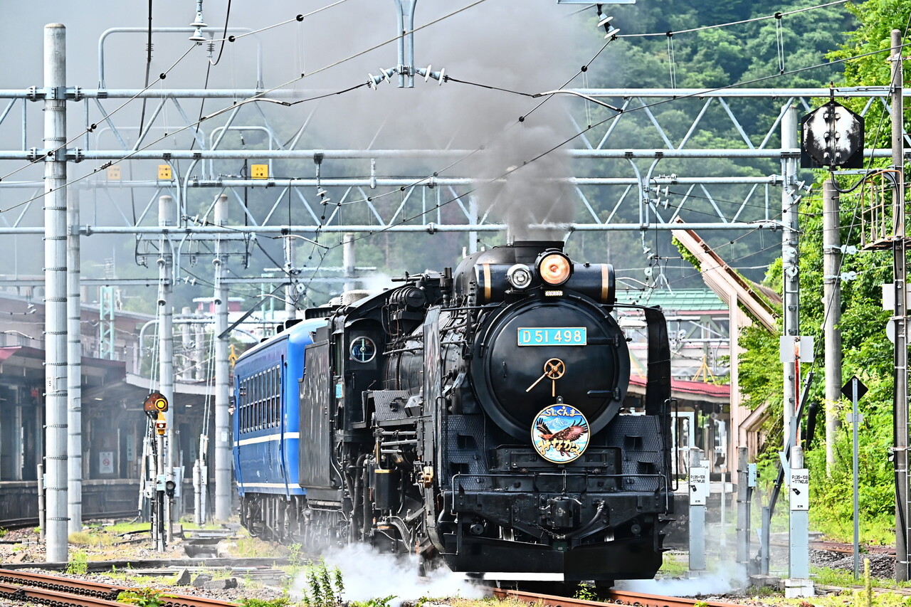 ＳＬナンバープレートD51 SL蒸気機関車 プレート 送料込み - 鉄道