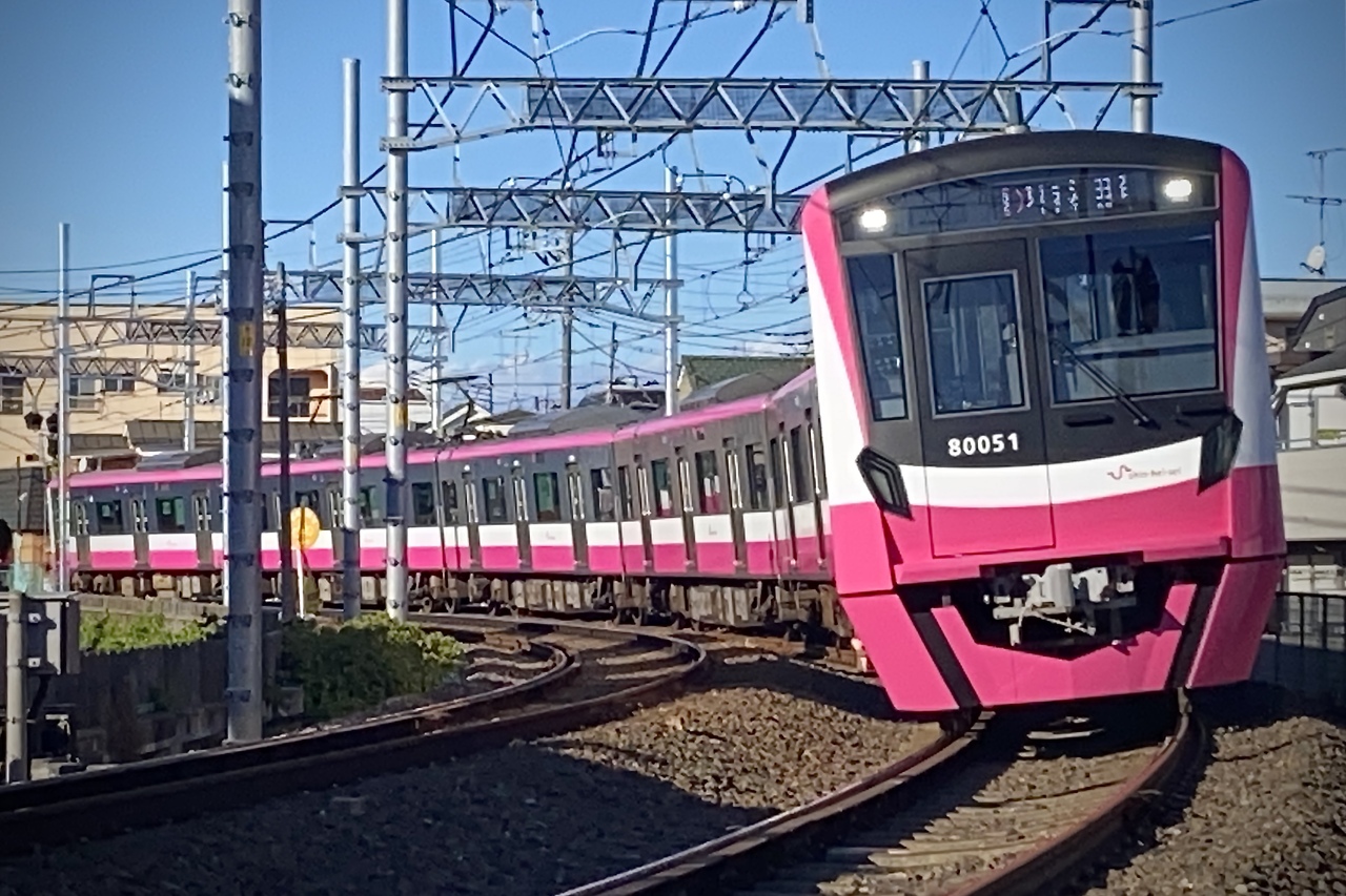 投稿写真