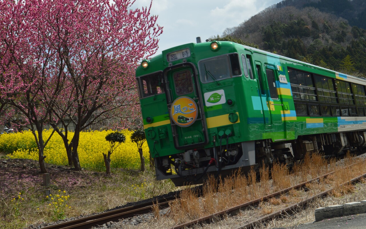 快速 春の水郡風っこ号 運転」の投稿写真（1枚目） - 鉄道コム