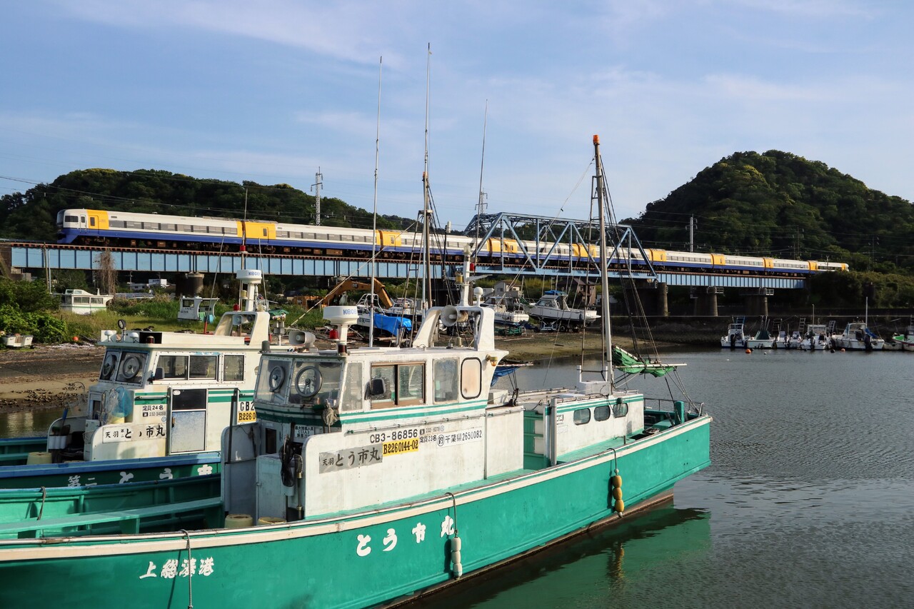 投稿写真
