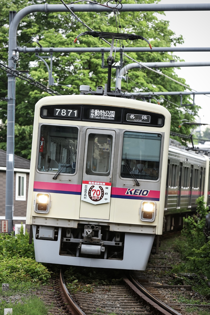 55225さんの投稿写真