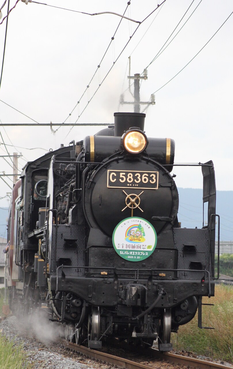秩父鉄道 SL全国植樹祭記念号 運転」の投稿写真（1枚目） - 鉄道コム
