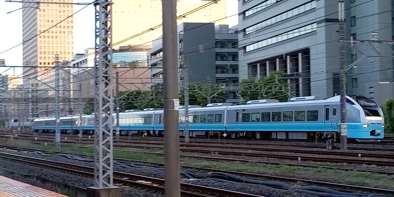 特急 絶景ネモフィラ高崎号 運転」の投稿写真（1枚目） - 鉄道コム