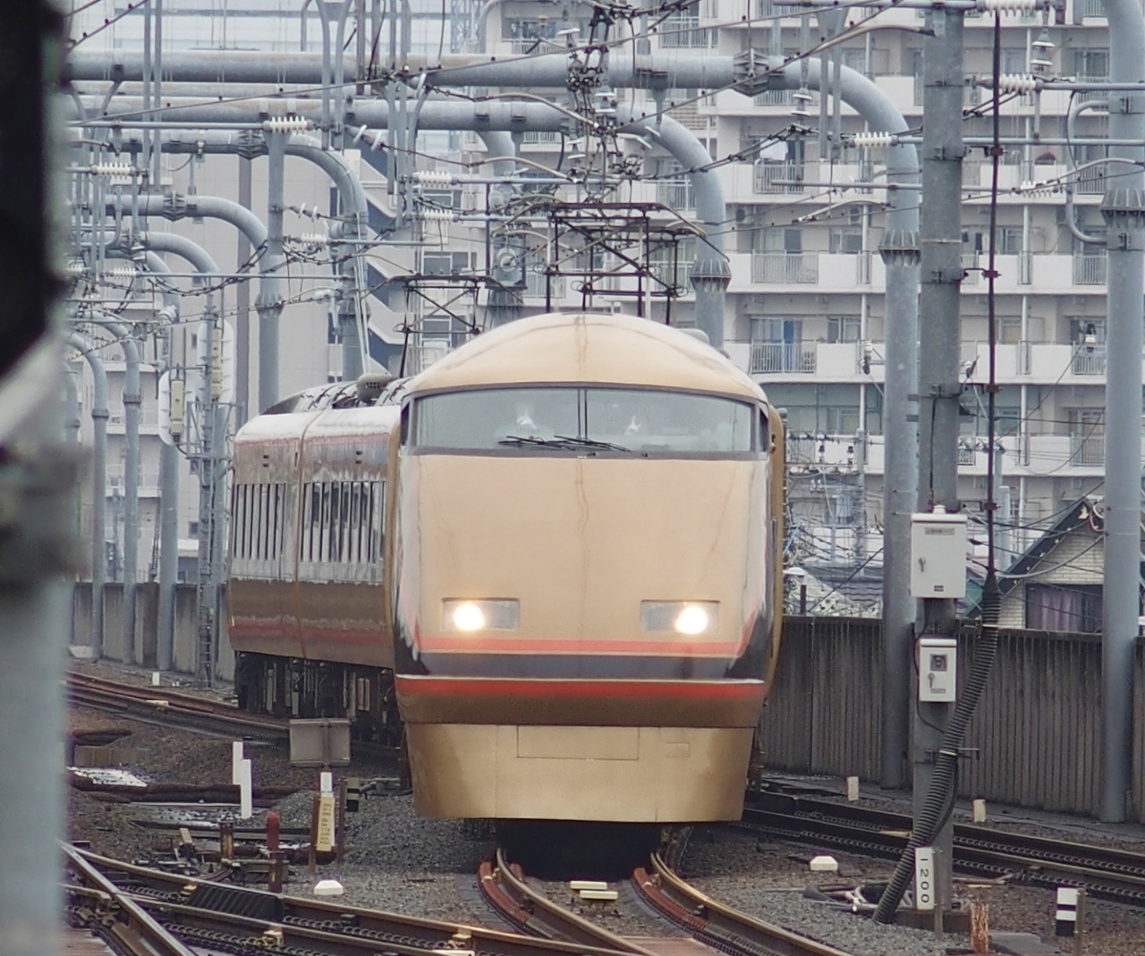 ひはたびたなさんの投稿写真