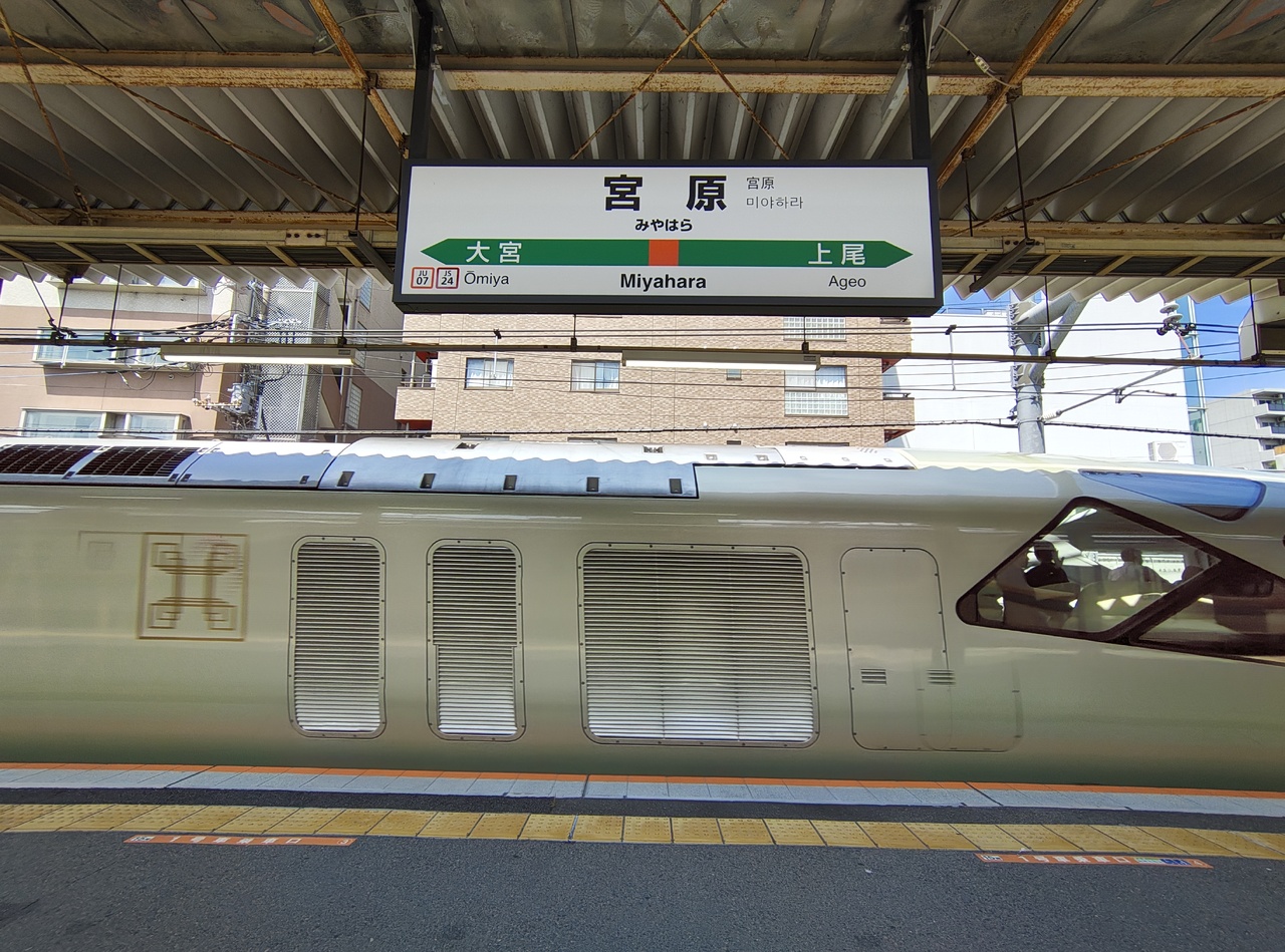 投稿写真