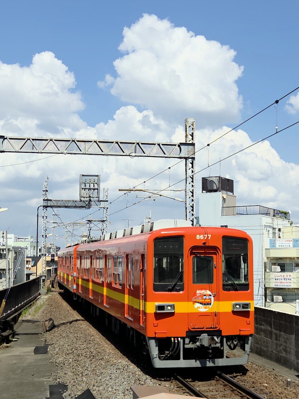 今やんさんの投稿写真
