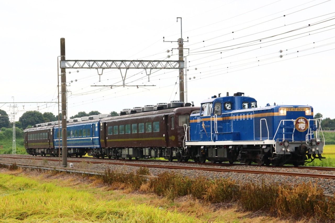 元JR北海道14系まりも号　東武鉄道　SL大樹ドリームカー シートクッション 東武 SL大樹客車 ぶどう色編成 ドリームカー 連結」の投稿写真（11枚目