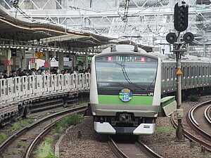 限定品 E233系埼京線開業40周年記念ラッピング 10-2108Z KATO 【埼京線