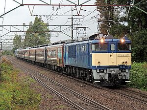 快速 越後湯沢駅100周年号 運転」の投稿写真（2枚目） - 鉄道コム