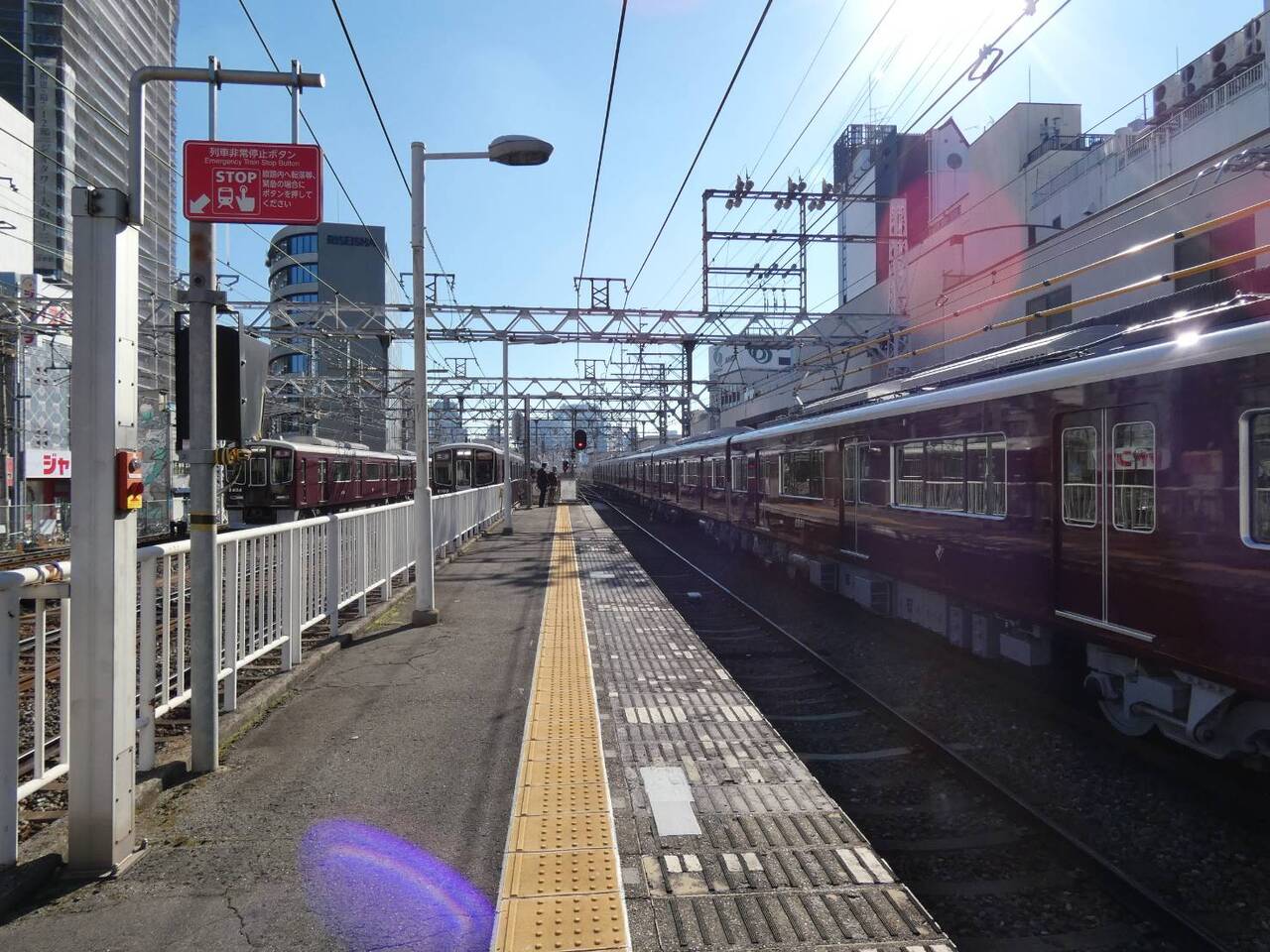 ハシビロコウキさんの投稿写真