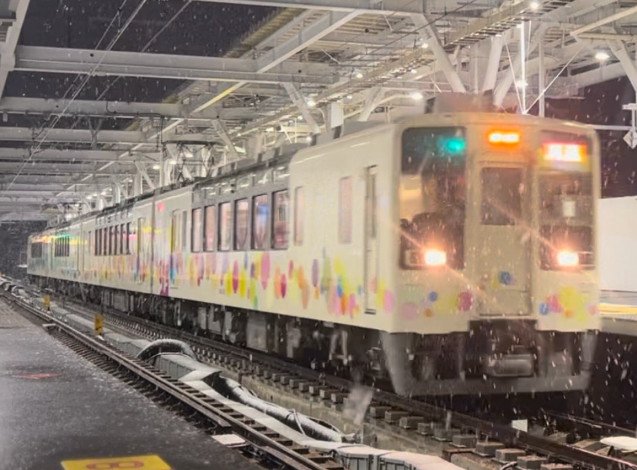 東武など 特急スカイツリートレイン81・82号 運転」の投稿写真（1枚目