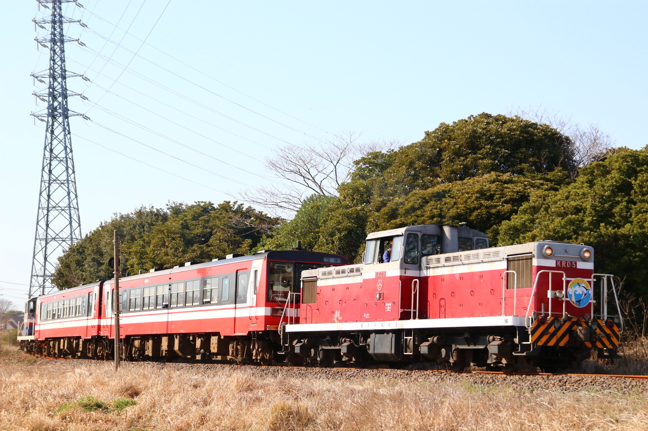 蘇鉄　大株 鹿島臨海鉄道 急行大洗エメラルド号・おおあらい号 乗車ツアー」の投稿