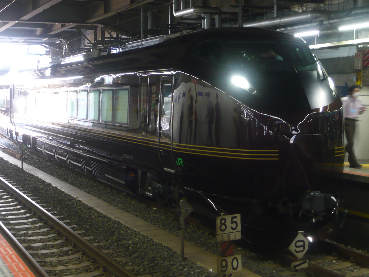 E655系 神奈川周遊号（ツアー）」の投稿写真（12枚目） - 鉄道コム