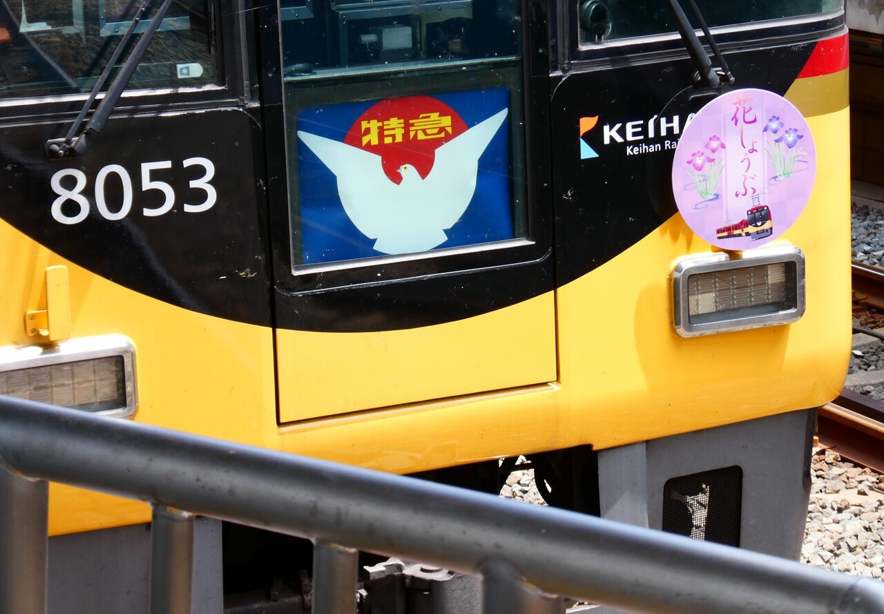 京阪 初夏の花ヘッドマーク 掲出」の投稿写真（1枚目） - 鉄道コム