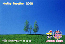 「ヘルシーマラソン2008」