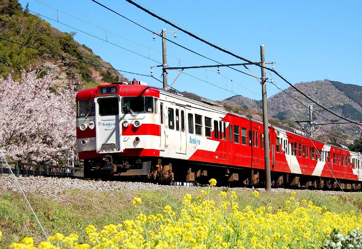 伊豆急行「伊豆急200系さよなら運転」実施（2008年12月14日） - 鉄道コム