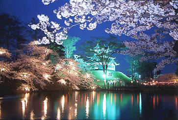 高田公園の夜桜（イメージ）