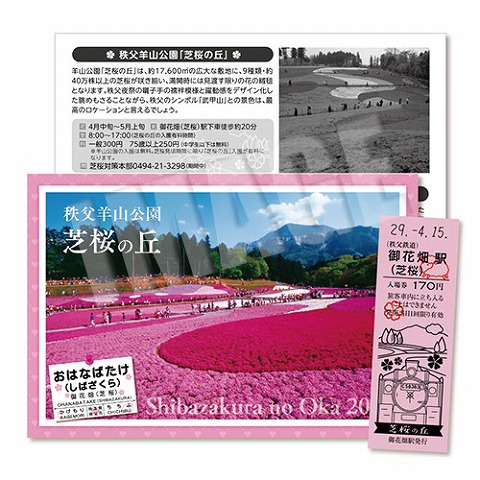 芝桜記念入場券（イメージ）