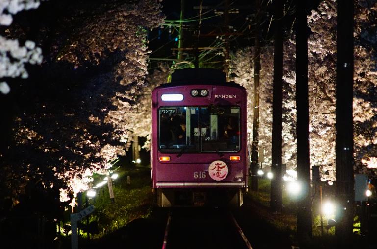 夜桜電車（イメージ）