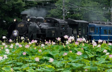 東武 Sl大樹 Zoomオンライン配信 実施 年6月日 鉄道コム