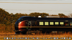 E655系 新宿~長野間(ツアー)