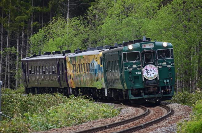 JR北海道宗谷本線 花たび そうや号 サボ-