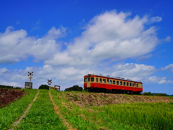 いすみ鉄道キハ52-125