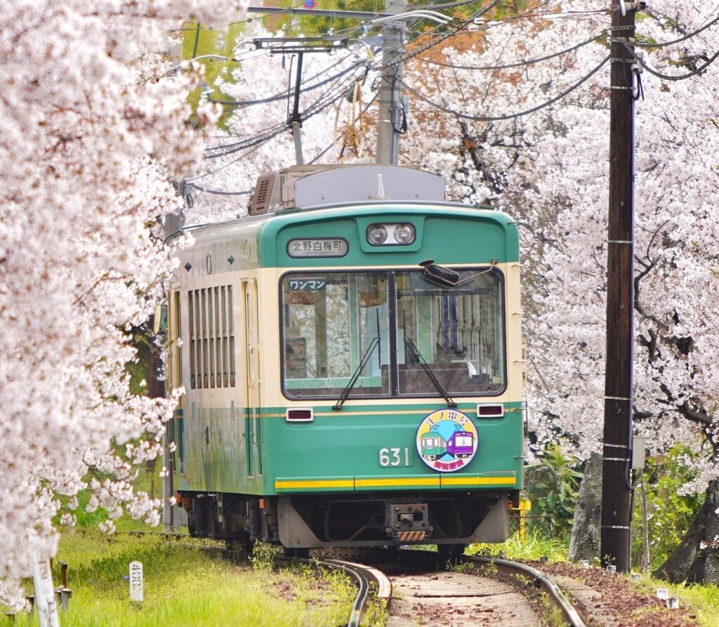 現「江ノ電号」（631号車）