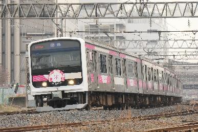 E501系「E501 SAKIGAKE」