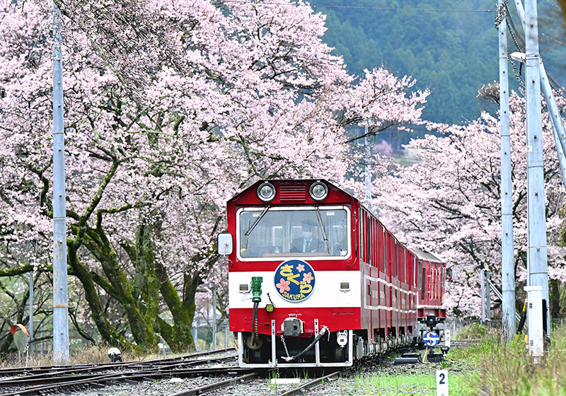 カレンダー表紙写真