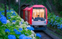 箱根登山鉄道 夜のあじさい号 運転
