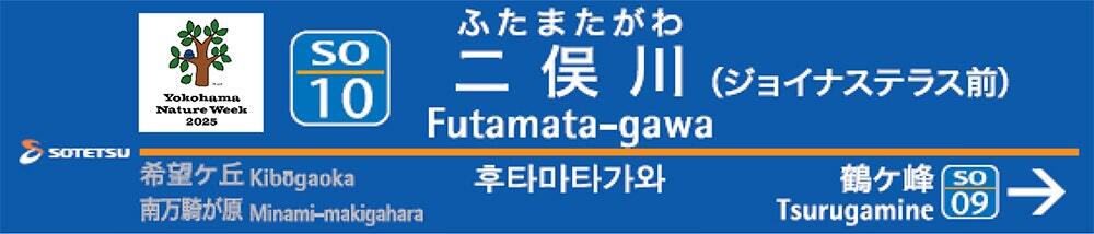 装飾イメージ