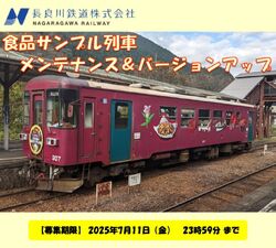 長良川鉄道 食品サンプル列車メンテナンス クラウドファンディング 実施