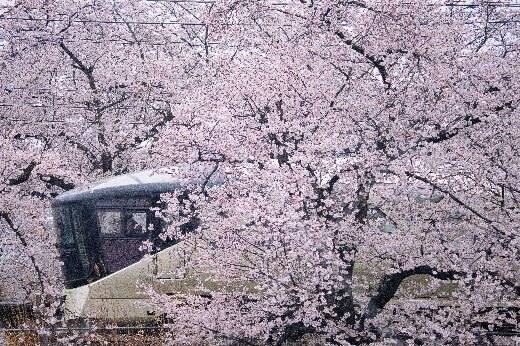 TRAIN SUITE 四季島 1泊2日長野コース（ツアー）（2026年6月6日