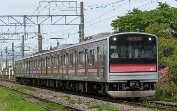 せみのようきゅう リュウキュウアブラゼミの鳴き声 6月中旬の沖縄で賑やかに鳴い