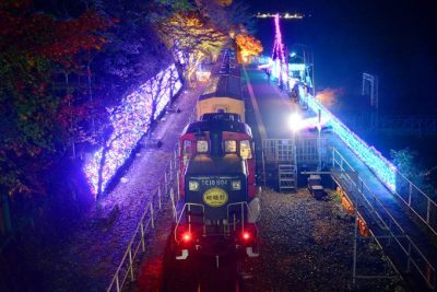 嵯峨野観光鉄道 沿線ライトアップ 光の幻想列車 実施（2025年10月25日