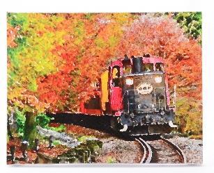 【鉄道部品】嵯峨野観光鉄道 区名札セット 嵯峨野観光鉄道 TOMIX DE10形 販売予定品 11月12日 | NGaugeJP