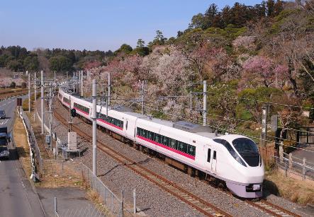常磐線の「梅の見ごろ限定の臨時駅」、今年は平日も開設 - 鉄道コム