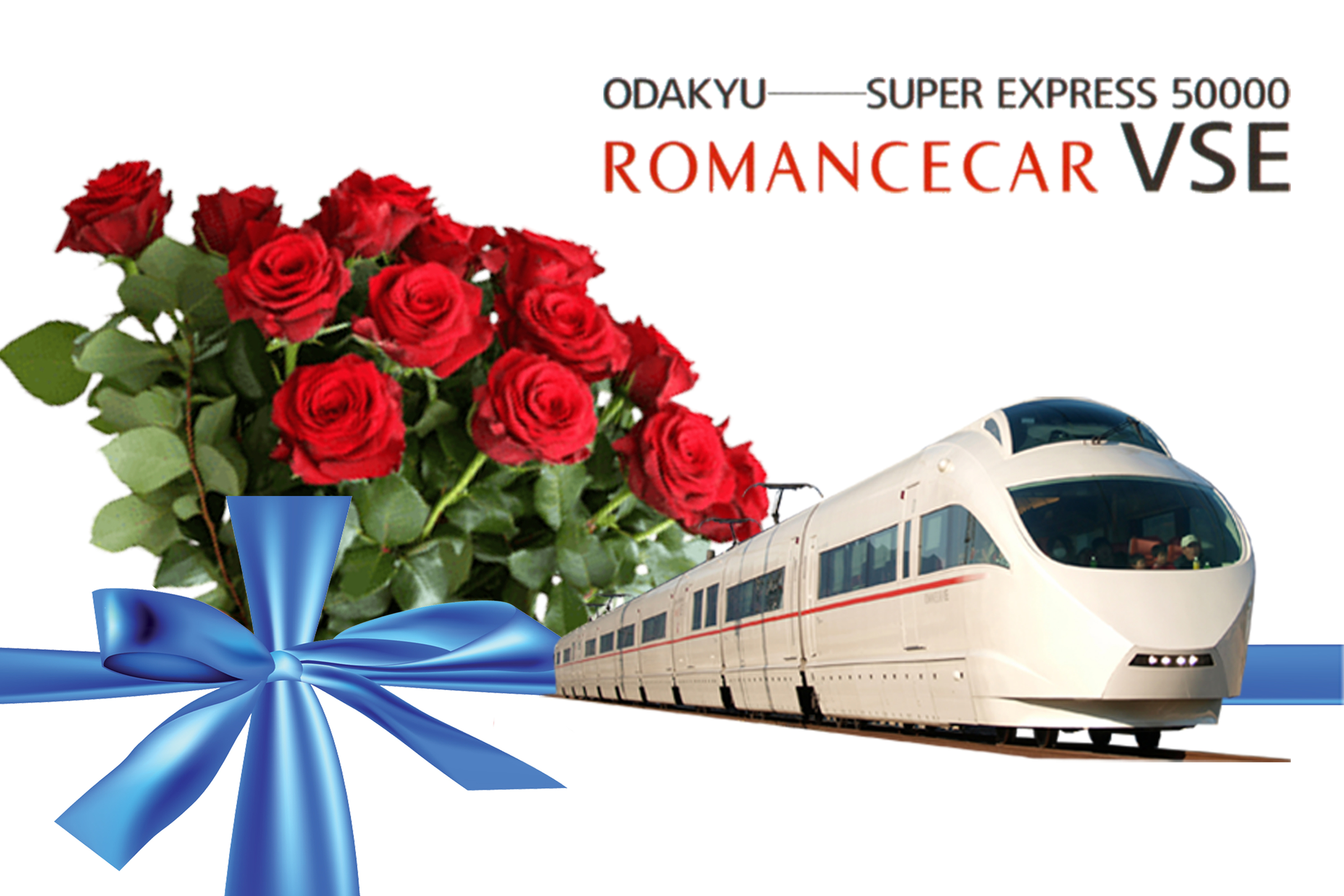 小田急 大野総合車両所 VSE50001編成 お別れ見学会ツアー（2025年12月6