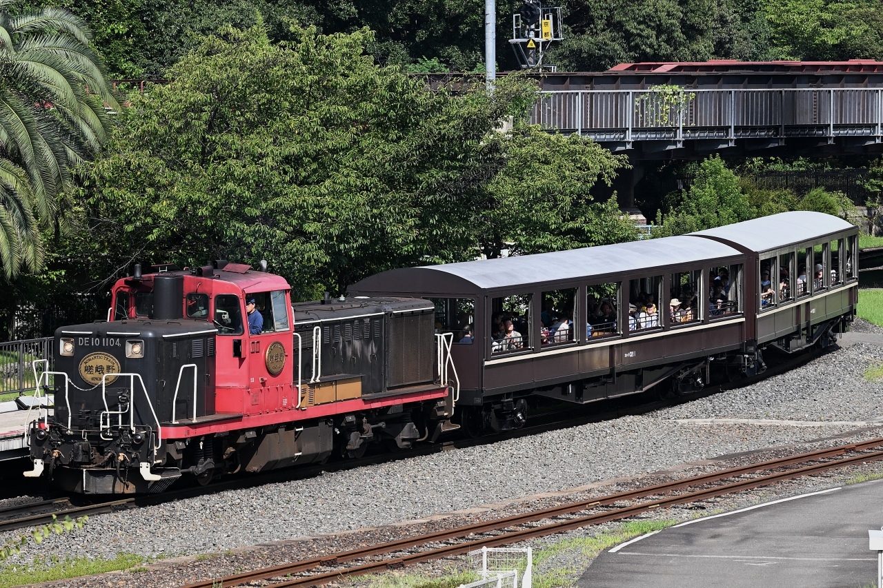 京都鉄道博物館 SLスチーム号 嵯峨野観光鉄道車など DE10形 運転（2026