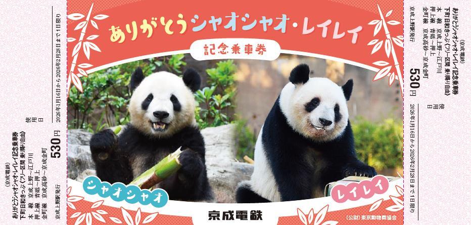 京成、「ジャイアントパンダ」の記念乗車券を発売 「シャオシャオ