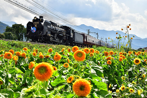 秩父鉄道 SL熊谷うちわ祭号 運転（2026年7月20日） - 鉄道コム