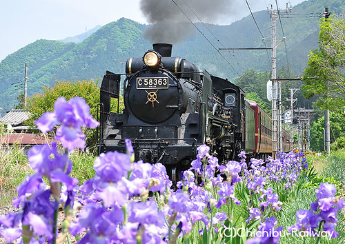 秩父鉄道 SL上伊那ぼたん号 運転（2026年7月25日） - 鉄道コム
