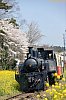 /rail.travair.jp/wp-content/uploads/2019/04/2019_04_06_0003-353x530.jpg