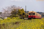 /rail.travair.jp/wp-content/uploads/2019/04/2019_04_07_0044-530x353.jpg